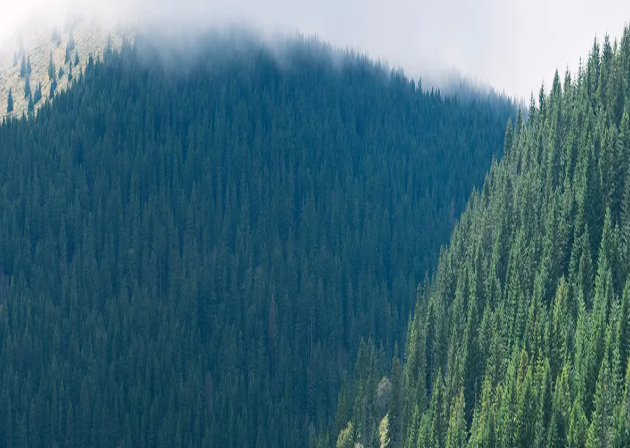 Solar Panel Efficiency